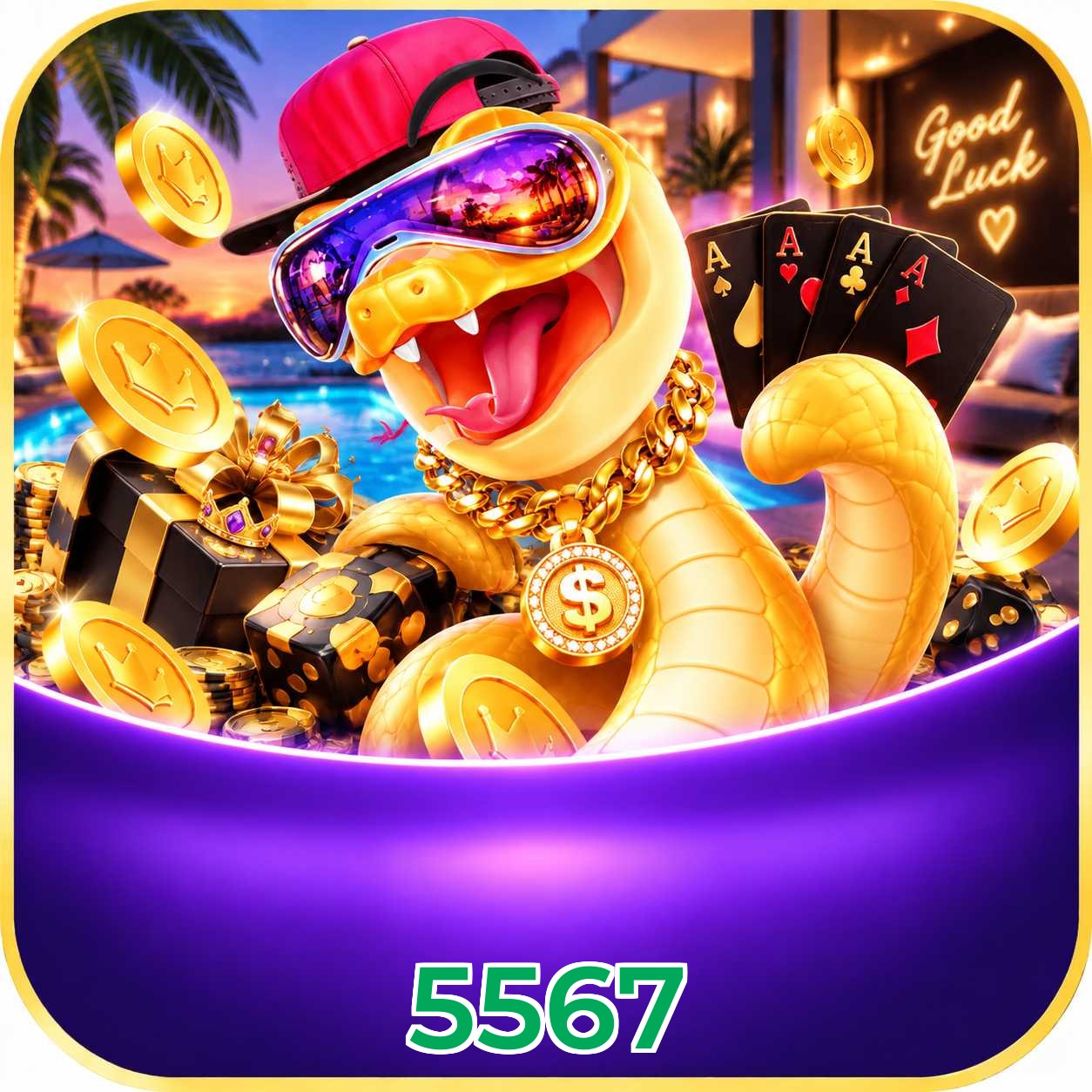 App 5567 com catálogo premium, PIX e suporte 24/7